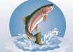 Trout