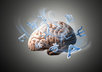 Brain-add