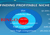 Finding_profitable_niche_