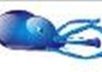 Squid