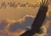 Flylike