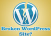 Fiverr-wordpress2