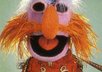 Floyd_pepper