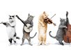 Prnphotos087137-jingle-cats-music-738977