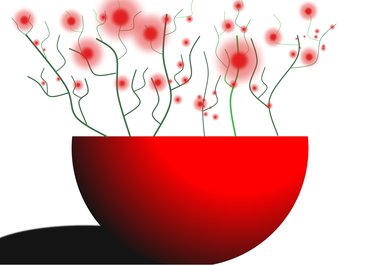 Redpoppy