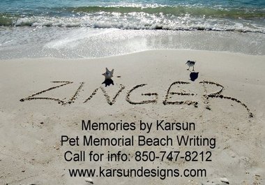Zingerrdsign
