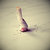 Cigarette__by_vanilla_tapes-creative-cigarette-photography