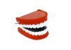 Mouth