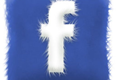 Furry-cushion-facebook_256