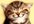 Smilingcat_02