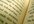 English-literature