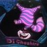 Dj Cheshire