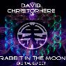 Rabbit In The Moon