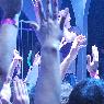 Infected Mushroom