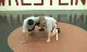 Finishing High from a Low Sweep Single