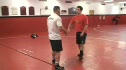 Coop Scoop With 2 Finishes