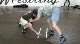 B2 Far Side Ankle (Heal) Pick