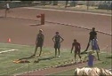 Triple Jump