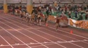 W 800 H01
