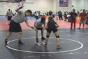 Lions Individual 2