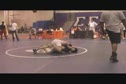 Lions Individual 4