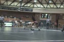 119 - Scholten (Rockford) vs Shuart (Davison)