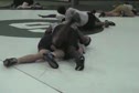 Live Situations - Curby vs Jones