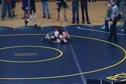 119lbs SEMIS - Tyler Frese (Lakeshore) vs Mitch Hrnyak (Forest Hills Central)