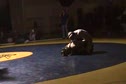 112LB FINALS - Tim Lambert (FHE) vs Will Foster (Shelby)