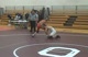 Zach Jeffries (Lowell) vs Wilcox (Webbervilles)