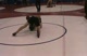 1st rnd Sweetman MI vs. Nicely OH