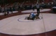 130 Havlik vs. Wass