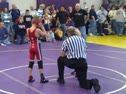 E. Torres vs. E. Lewis