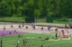 2009 Athletics Ontario Junior Men 200m Heat 4 of 7