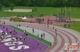 2009 Athletics Ontario Junior Women 400m Heat 6 of 7