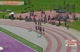 2009 Athletics Ontario Qualifier Meet - Senior Men 800m Section 1 of 2 with splits