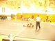 OF Pruitt (IL) vs BR Unknown (IL)