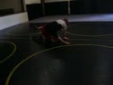 pat almost gets gillatine(oops) on levi