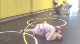Cal Poly Club Training Camp