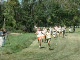 SIU Lap 1