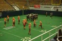 Bulldog Offensive Series