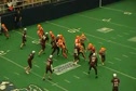 Bulldogs Interception