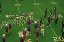 Swarming Mustang D