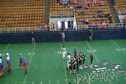 Tigers Defense