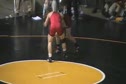Young vs. Howe (Wisconsin) 