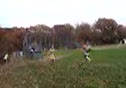 MOV09717 - Track and Field video MOV09717