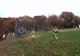 MOV09717