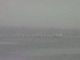Race 5A Start