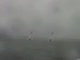 Race 5B 2nd Weather Mark