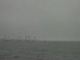 Race 5B Start